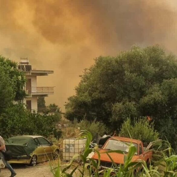 Η αμέλεια παραμένει η κύρια αιτία των πυρκαγιών στην Ελλάδα
