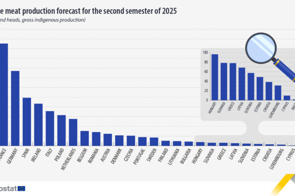 Eurostat : Η εικόνα της ζωικής παραγωγής στην ΕΕ – Σε ποιον τομέα ξεχωρίζει η Ελλάδα