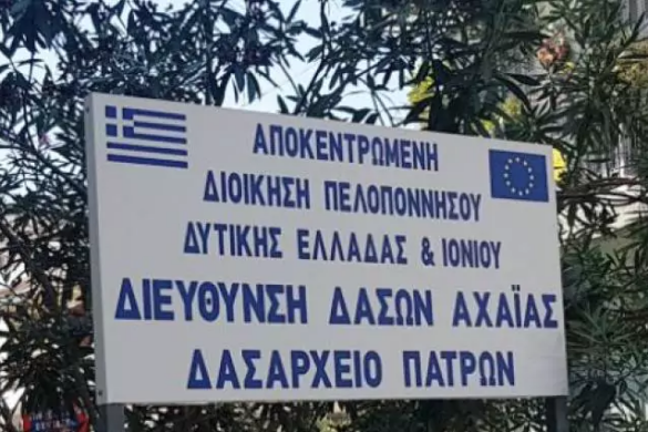 ΠΕΔ: Ζητά άμεση ενίσχυση του Δασαρχείου Πατρών πριν χαθεί πολύτιμος χρόνος