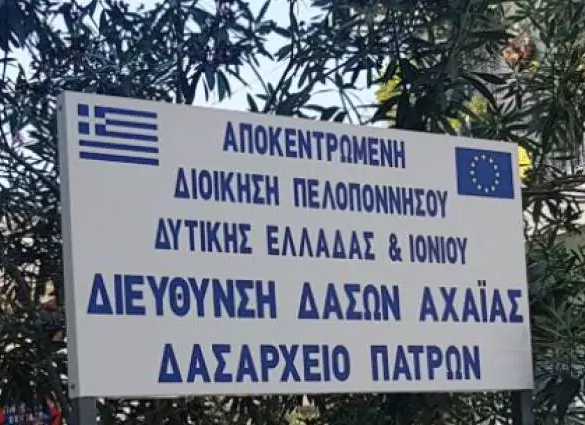 ΠΕΔ: Ζητά άμεση ενίσχυση του Δασαρχείου Πατρών πριν χαθεί πολύτιμος χρόνος