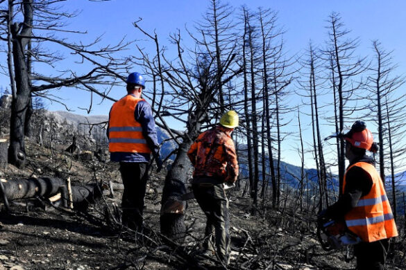 Υπεγράφη η έγκριση του Εθνικού Χάρτη Εκτίμησης Κινδύνου Δασικών Πυρκαγιών