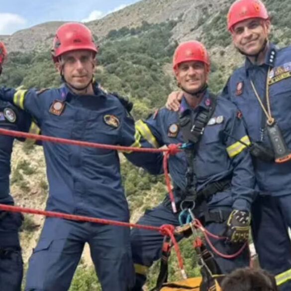 Πάτρα: Διάσωση σκυλίτσας από την 6η ΕΜΑΚ