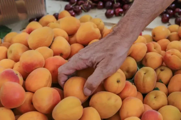 Πρόγραμμα 135 εκατ. ευρώ για στήριξη της μεταποίησης αγροτικών προϊόντων