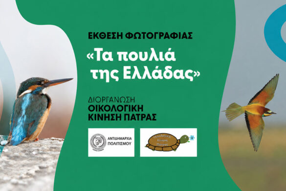 Πάτρα: Έκθεση φωτογραφίας της ΟΙΚΙΠΑ στα Ψηλά Αλώνια