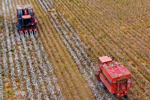 «Mικροδάνεια» έως 25.000 ευρώ για αγρότες – Ποιους αφορά