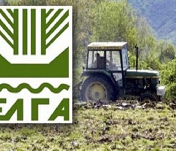 ΕΛΓΑ: Αποζημιώσεις καλλιεργειών προανθικού σταδίου