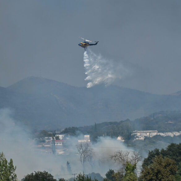 Φωτιά σε δασική έκταση στην Φανερωμένη Θεσπρωτίας – Σηκώθηκαν 4 εναέρια μέσα
