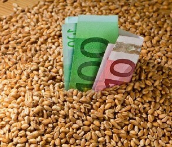 Κρατικές ενισχύσεις – Τι αλλάζει σε γεωργία, δασοκομία και αλιεία
