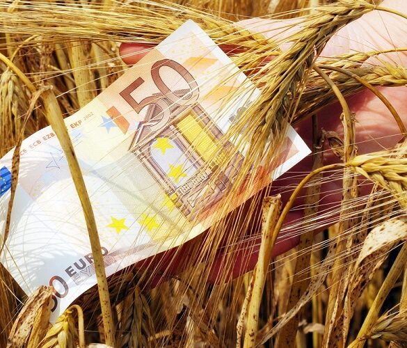 Ενισχύσεις: Πήρε ΦΕΚ η πληρωμή των μη ασφαλισμένων στον ΕΛΓΑ