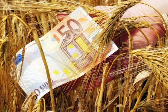 ΟΠΕΚΕΠΕ: Καταβλήθηκε η ειδική συνδεμένη βάμβακος – Ποιες πληρωμές αναμένονται