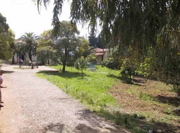 Δήμος Ερυμάνθου: Ανησυχία για τα ξερά χόρτα στον χώρο του σχολείου Ισώματος