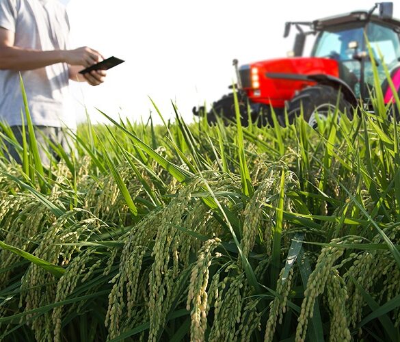 ΟΠΕΚΕΠΕ: Εφαρμογή αποτελεσμάτων monitoring – Πώς θα λειτουργήσει