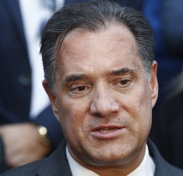 Βουλή – Επίθεση Άδ. Γεωργιάδη στην Πλεύση Ελευθερίας