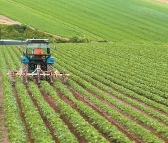ΑΑΔΕ: Άρχισε η υποβολή προσφυγών για αγροτικές ενισχύσεις 2024 και 2025
