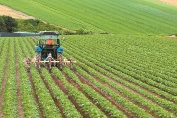 Πληρώθηκαν ΕΦΚ πετρελαίου οι αγρότες απο την ΑΑΔΕ