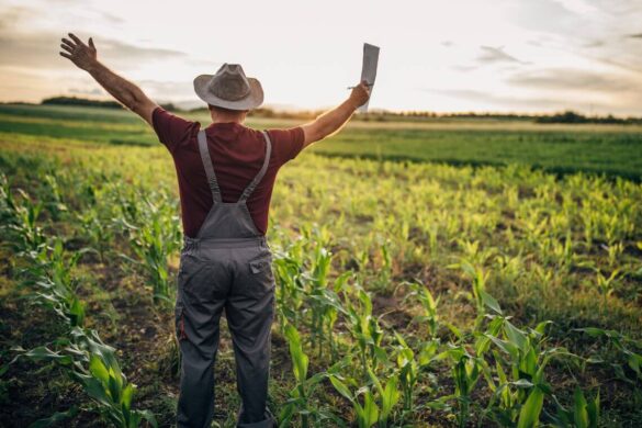 Στους δρόμους οι αγρότες που επλήγησαν από τους παγετούς, ζητούν αποζημιώσεις