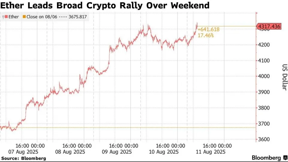 fineview bitcoin 2