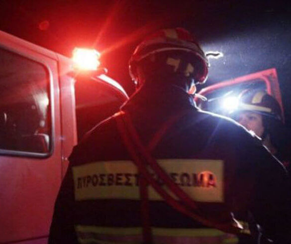 Πάτρα: Συναγερμός στην Πυροσβεστική για φωτιά στο Δασύλλιο