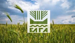 Αποζημιώσεις από ΕΛΓΑ ζητούν οι παραγωγοί ρίγανης της Θεσσαλίας, το θέμα πήγε στην Βουλή