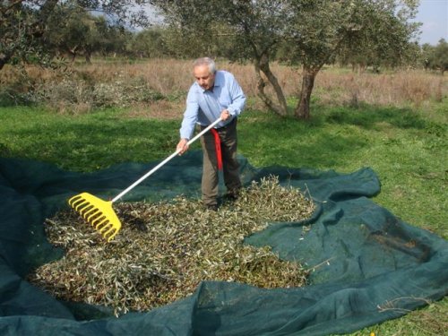 Ποιες δυσκολίες φέρνουν για τους έλληνες παραγωγούς οι δασμοί Τραμπ