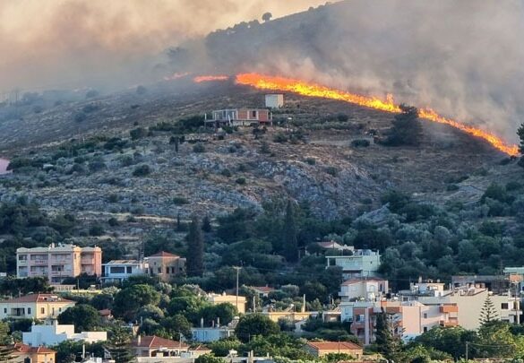 Συνεχίζεται η μάχη με τις φλόγες στη Χίο