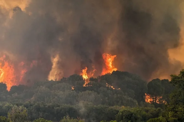 Φωτιά στην Ηλεία συναγερμός στην Πυροσβεστική