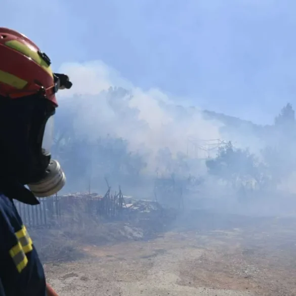Φωτιά σε δασική έκταση του δήμου Τεμπών Λάρισας – Σηκώθηκαν εναέρια μέσα
