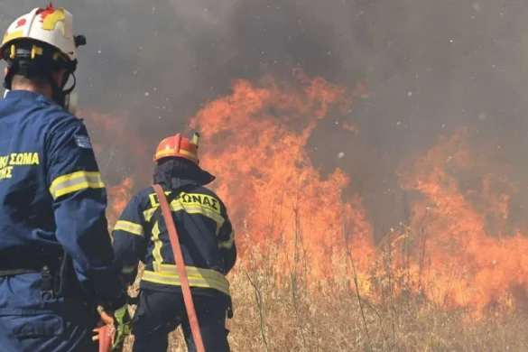 Φωτιά στον Πρόδρομο Βοιωτίας: Ισχυρές πυροσβεστικές δυνάμεις στο σημείο