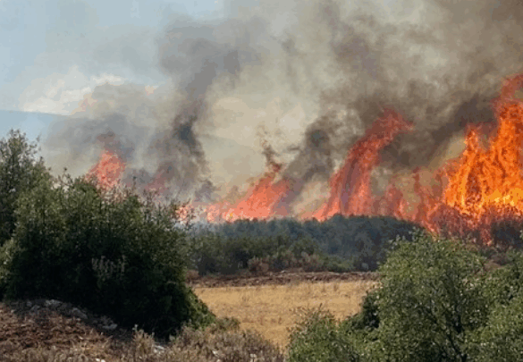 Φωτιά στο Δρέπανο Κοζάνης