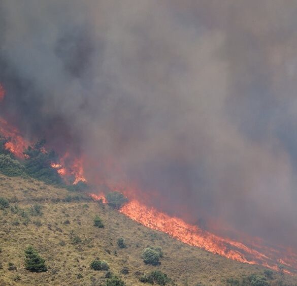 Συνελήφθη 30χρονη για την πυρκαγιά στη Βόρεια Χίο