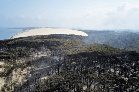 Ισπανία: Πάνω από 23.000 στρέμματα δασικής έκτασης κάηκαν κοντά στην Ταραγόνα – Παραμένει ενεργή φωτιά σπάνιας έντασης στη Γαλλία