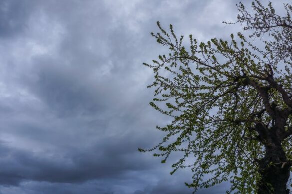 Καιρός – Αχαΐα : Έρχεται αστάθεια με βροχές και καταιγίδες