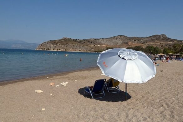 Αχαΐα: Έρχεται καύσωνας και κίνδυνος πυρκαγιών- Τι λέει ο Ν. Σερέτης