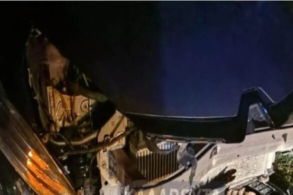 Καλάβρυτα: Σοβαρό τροχαίο με αγριογούρουνο – Καταστράφηκε το αυτοκίνητο