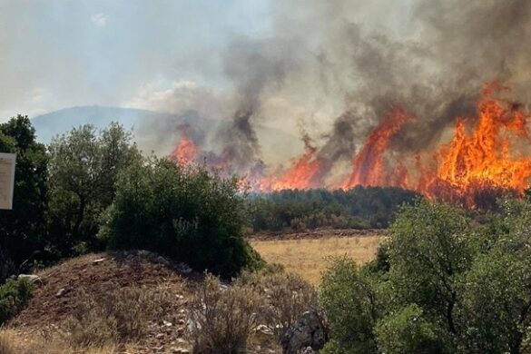Κύπρος: Ενισχύσεις από ΕΕ-Αίγυπτο για την κατάσβεση της φωτιάς στην επαρχία Λεμεσού