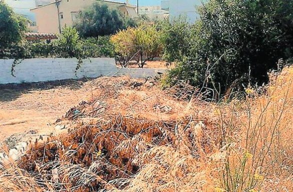 Ακαθάριστα οικόπεδα: Η Πυροσβεστική αρμόδια για ελέγχους, κατόπιν καταγγελιών