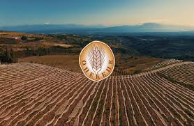 Τροποποιήσεις για monitoring λίγο πριν την πληρωμή συνδεδεμένης στα σιτηρά