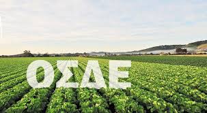 7 προτάσεις για ΟΣΔΕ 2025, να γίνουν προ-συμπληρωμένες δηλώσεις όπως κάνει ΑΑΔΕ