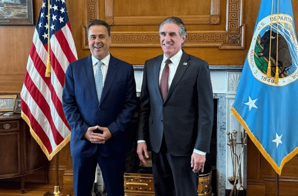 fineview papastavrou2