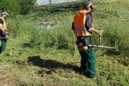 Λήγει τη Δευτέρα 22 Ιουνίου η προθεσμία για τον καθαρισμό οικοπέδων