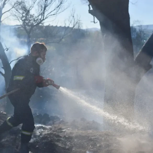 Πυρκαγιά στα Πετράλωνα Μεσσηνίας – Ισχυρές πυροσβεστικές δυνάμεις