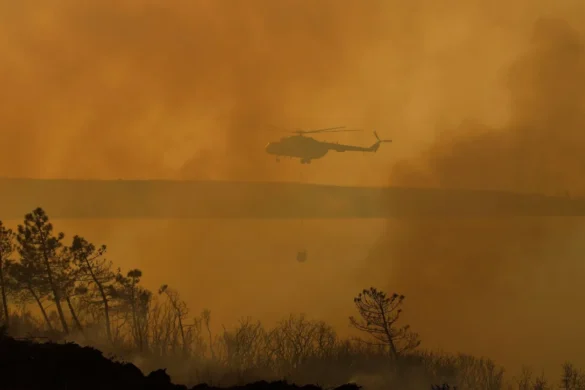 Δύο πυροσβεστικά αεροσκάφη στέλνει για την πυρκαγιά στην Αλβανία η Ελλάδα