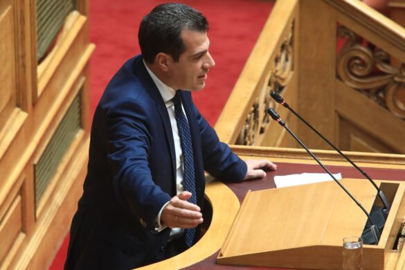 Πλεύρης για το μεταναστευτικό: Τέλος το παραμύθι με τις μωρομάνες