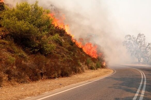 Πυρκαγιά σε δασική έκταση στην Πιερία