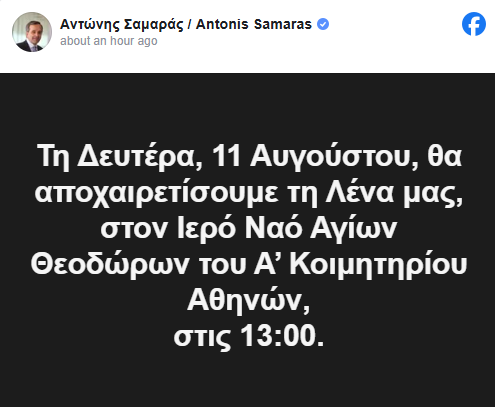 fineview samaras