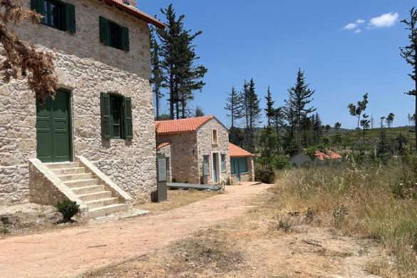 Σε πλήρη εξέλιξη τα έργα αποκατάστασης στο Τατόι – Αυτοψία της Λίνας Μενδώνη