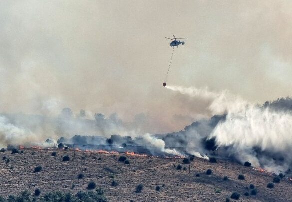 Φωτιά στη Χίο: Στα 47.765 στρέμματα η πληγείσα έκταση – Περίπου τα 38.500 είναι δασικές εκτάσεις