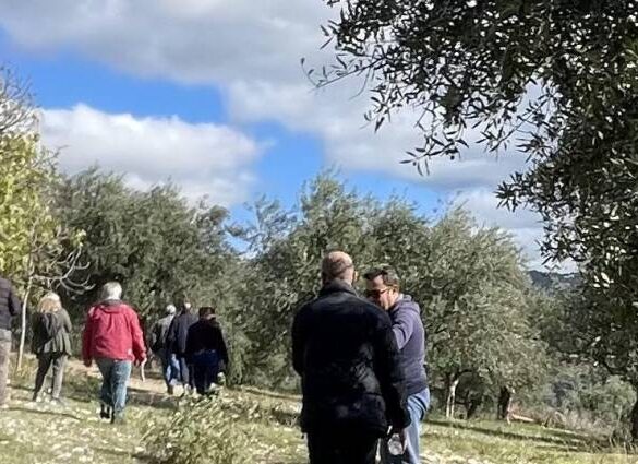 Κλιμάκια του ΕΛΓΑ και του Δήμου Ζαχάρως έκαναν αυτοψία στις πληγείσες από χαλάζι περιοχές