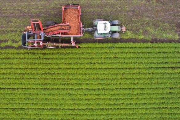 Χρηματοδότηση 3 δισ. ευρώ από τον Όμιλο ΕΤΕπ για τους αγρότες και τη βιοοικονομία σε όλη την Ευρώπη