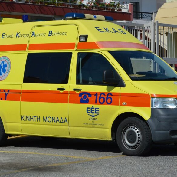 Τραγωδία στην Εύβοια: Νεκρή 21χρονη μετά από τσίμπημα σφήκας